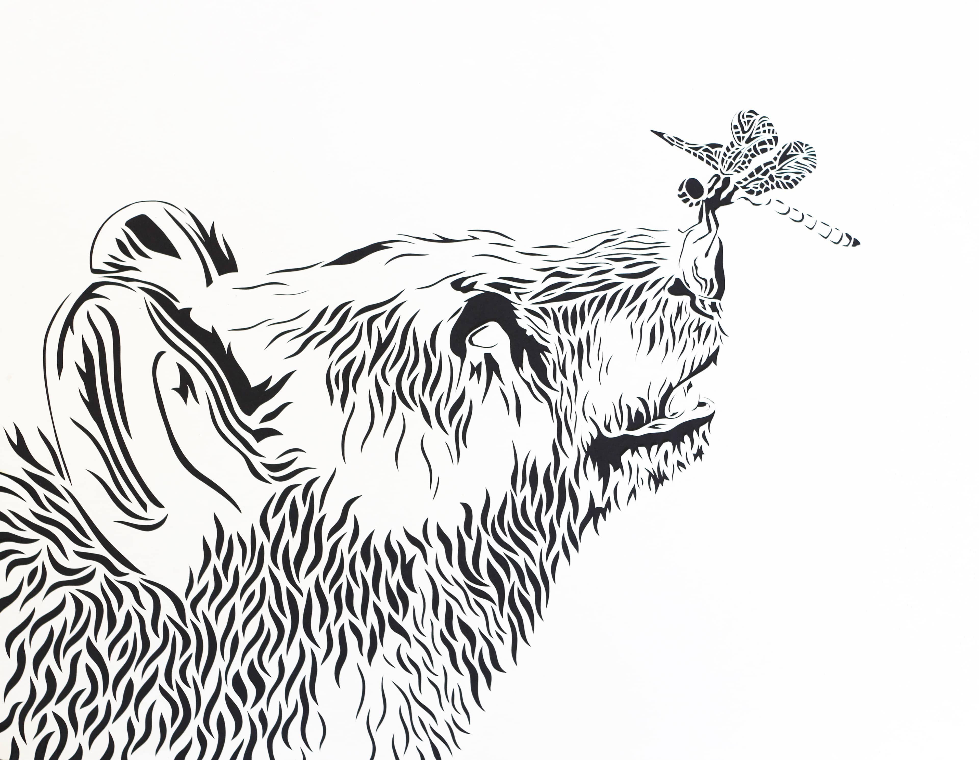 Bear & Dragonfly